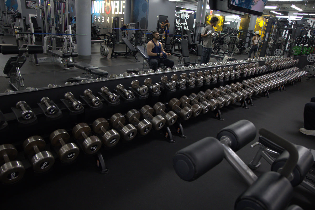 Training at Elev8tion Fitness